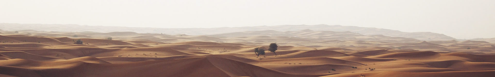 ųԴƼ޹˾